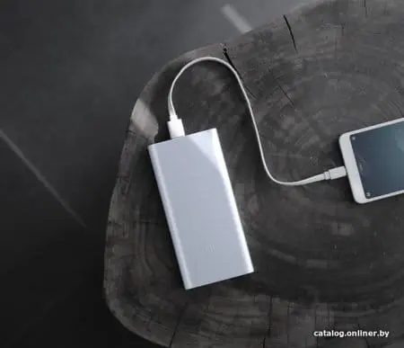 Внешний аккумулятор Xiaomi Mi Power Bank 2i 10000mAh (серебристый)